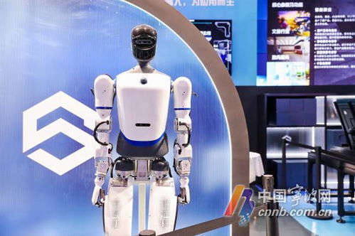 機器人生活秀 數量超60款，數貿會展現科技專業新圖景